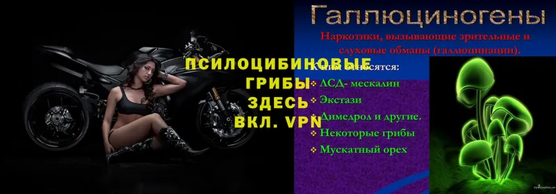 ОМГ ОМГ как войти  где можно купить   Мыски  Псилоцибиновые грибы прущие грибы 